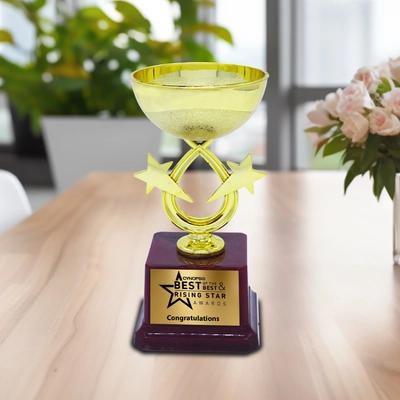 Custom Made Fiber Corporate Trophy (Size : 10 inch)1